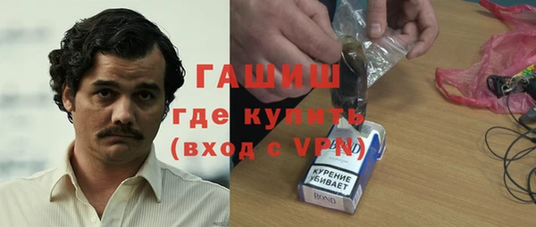прущие грибы Алзамай