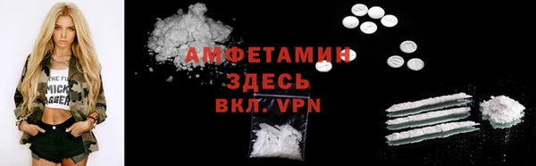 прущие грибы Алзамай