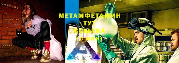 прущие грибы Алзамай