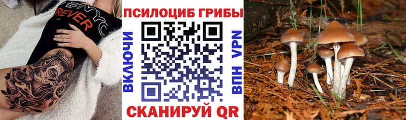 Галлюциногенные грибы мухоморы Кирс