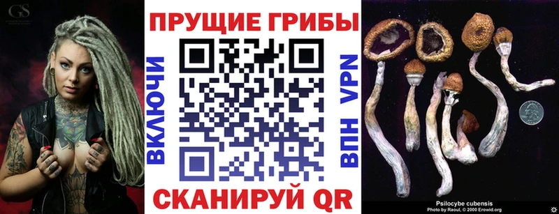 Галлюциногенные грибы Cubensis дарк нет официальный сайт Кирс KRAKEN зеркало